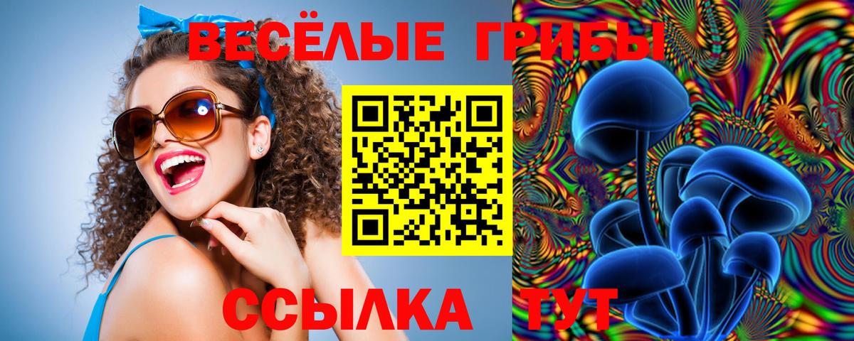 Галлюциногенные грибы GOLDEN TEACHER  Вход с VPN  Саранск 