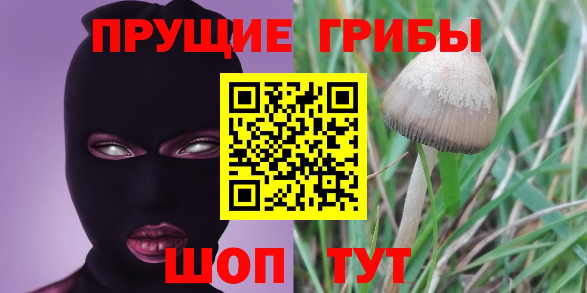 Псилоцибиновые грибы прущие грибы Саранск